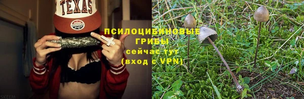 а пвп мука Сатка