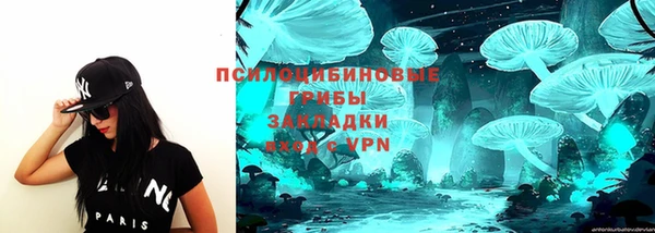 apvp Россошь