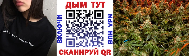 магазин  наркотиков  Фокино  Каннабис планчик 